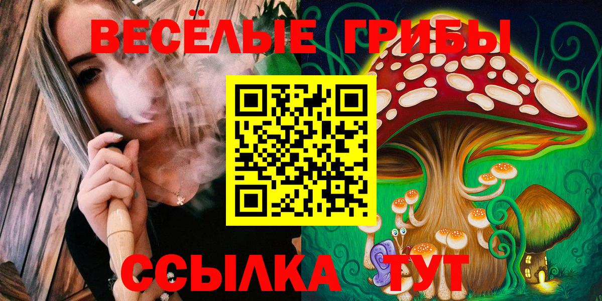 наркота  Галлюциногенные грибы Magic Shrooms  Вход с VPN  Королёв  Псилоцибиновые грибы прущие грибы 