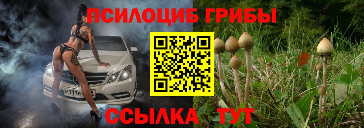 Псилоцибиновые грибы Magic Shrooms Королёв