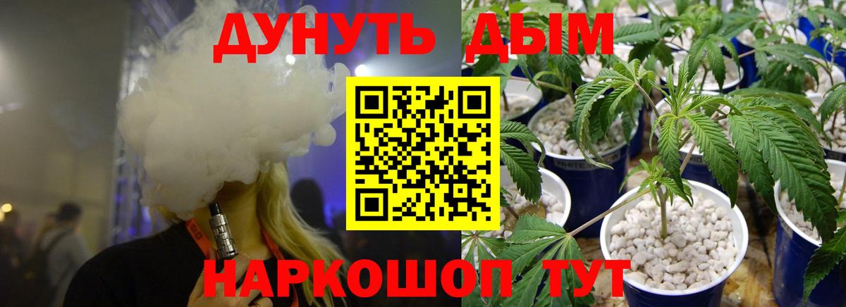 Каннабис план Королёв
